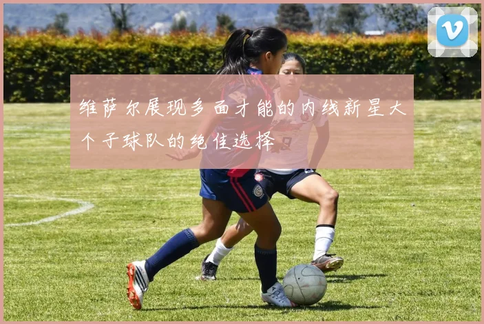 维萨尔展现多面才能的内线新星大个子球队的绝佳选择