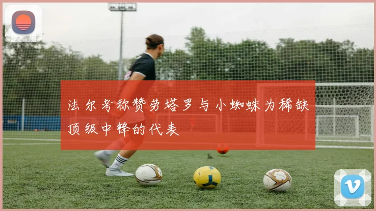 法尔考称赞劳塔罗与小蜘蛛为稀缺顶级中锋的代表